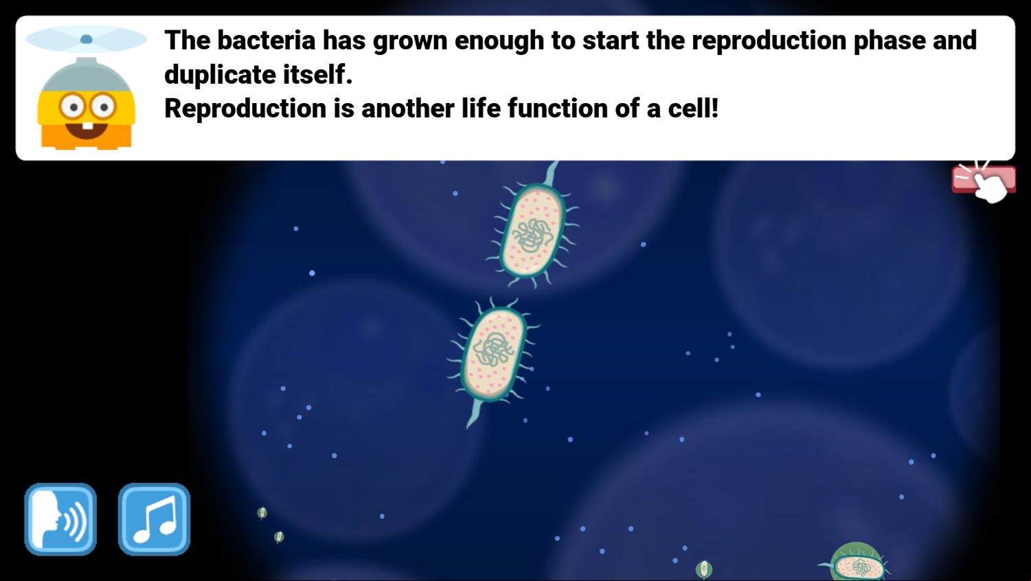 DocDuck Cells and Life Game Cellular Duplication Screenshot.