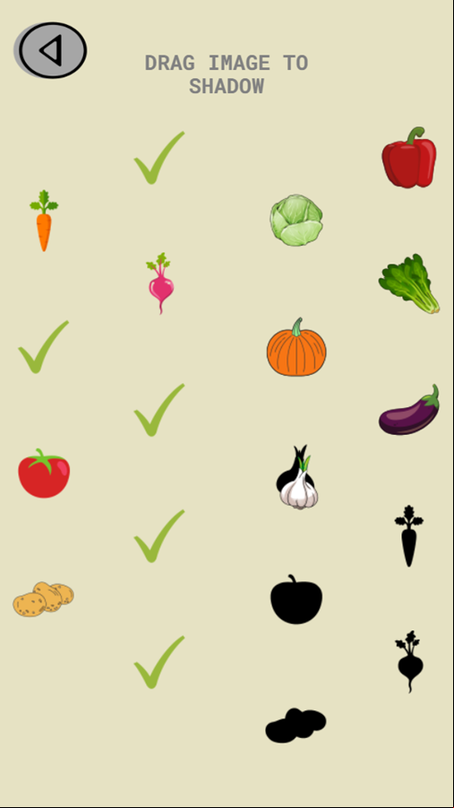 Drag and Drop Image Shadow Game Play Screenshot.