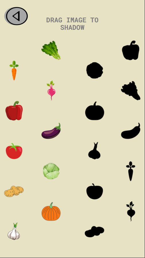 Drag and Drop Image Shadow Game Start Screenshot.