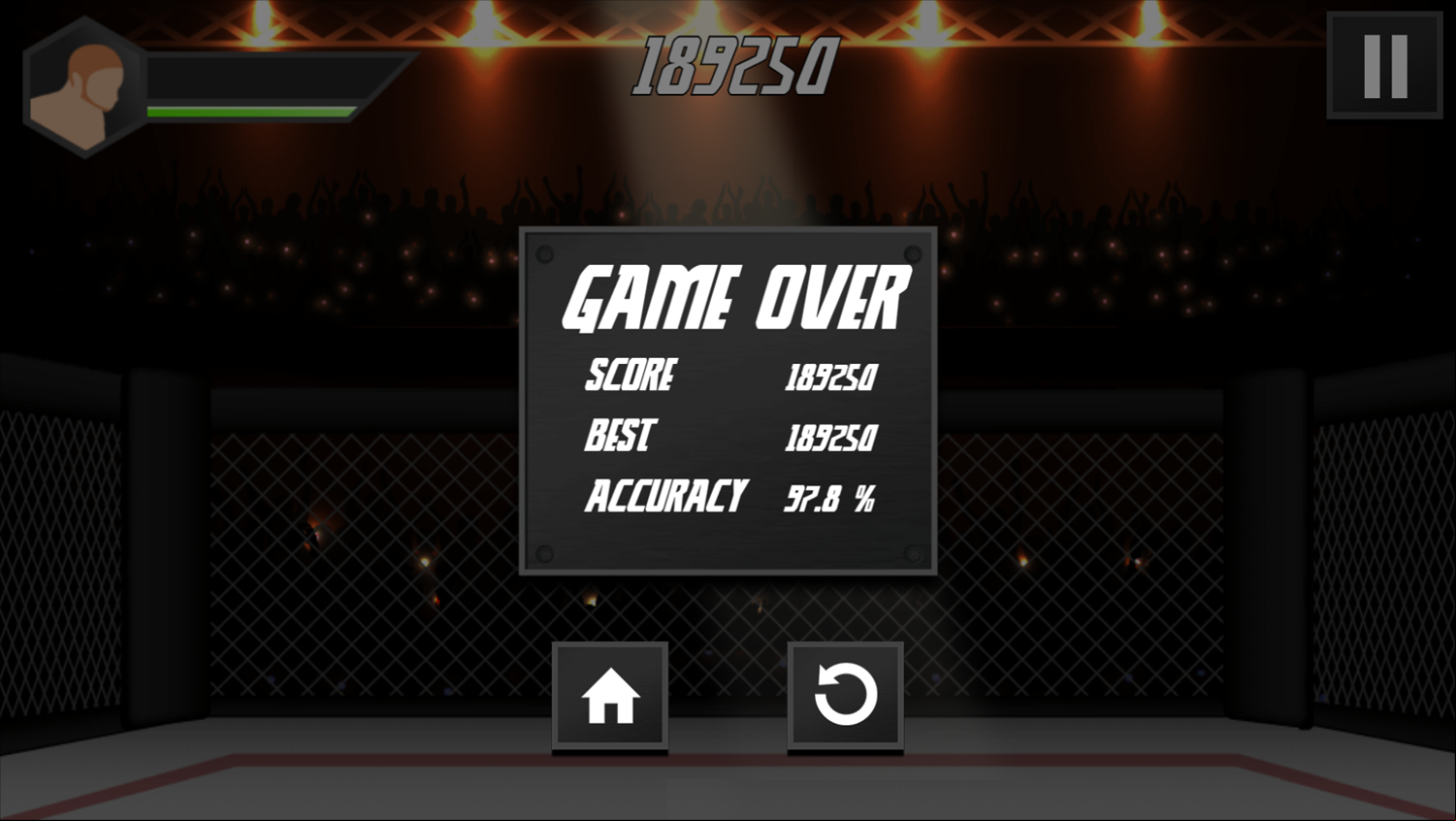 MMA Motivational Fighter Game Over Screenshot.